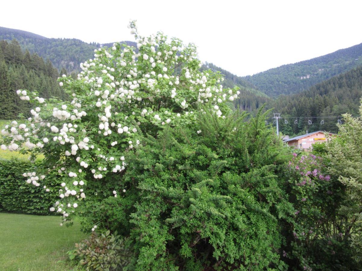 דירות לאקנהוף Haus Margarete מראה חיצוני תמונה